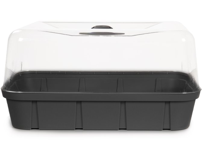 Frühbeet Anzucht Gewächshaus 6 L anthrazit anthrazit