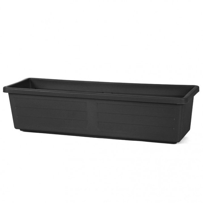 Blumenkasten MIAMI 60 cm anthrazit 12 Liter 