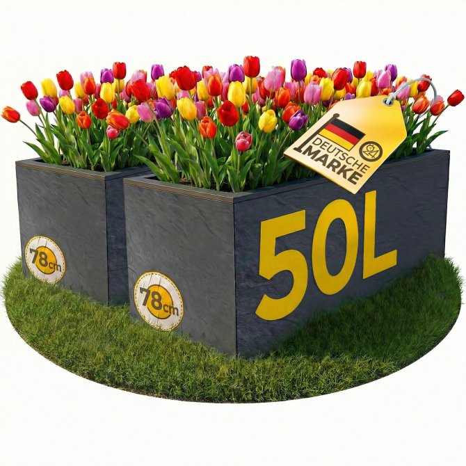 2x Pflanzkübel Pflanzkasten Blumenkübel Vulkano 50 anthrazit 