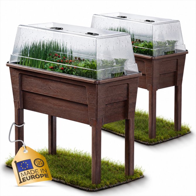 Hochbeet Frühbeet Gewächshaus Victoria braun Doppelpack 