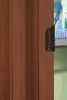 morepic-4