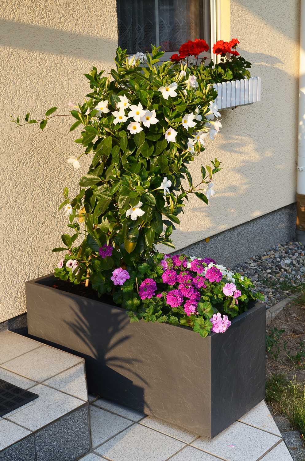 Ondis24 Wasserspeicher günstig 100 Pflanzkübel kaufen Blumentopf Vulkan online Doppelwand